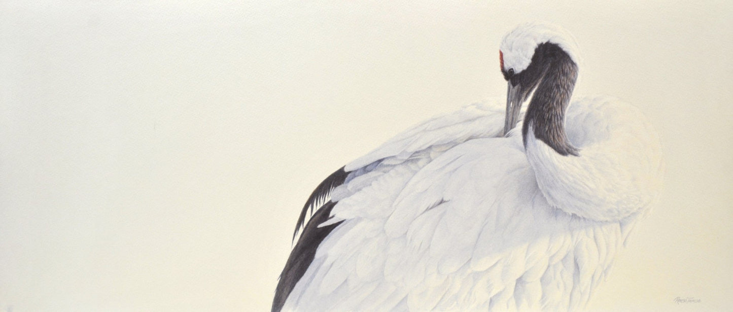 Crane I - Open Edition Print - Renso Tamse Fine Art