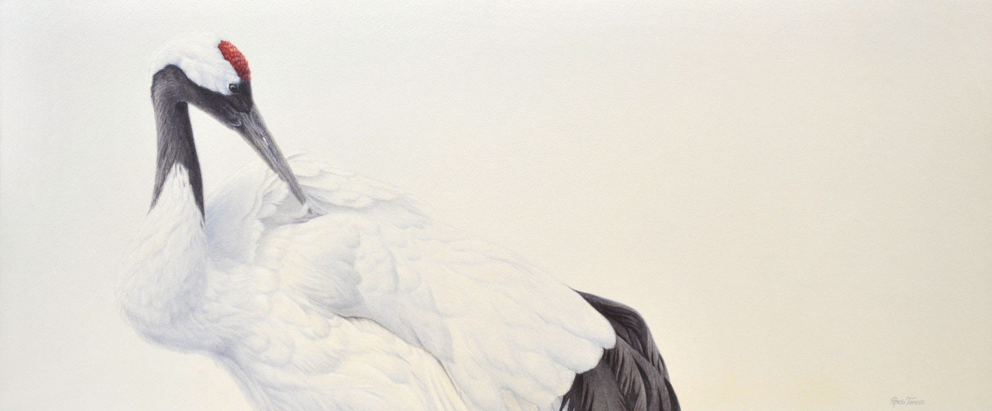 Crane II by Renso Tamse