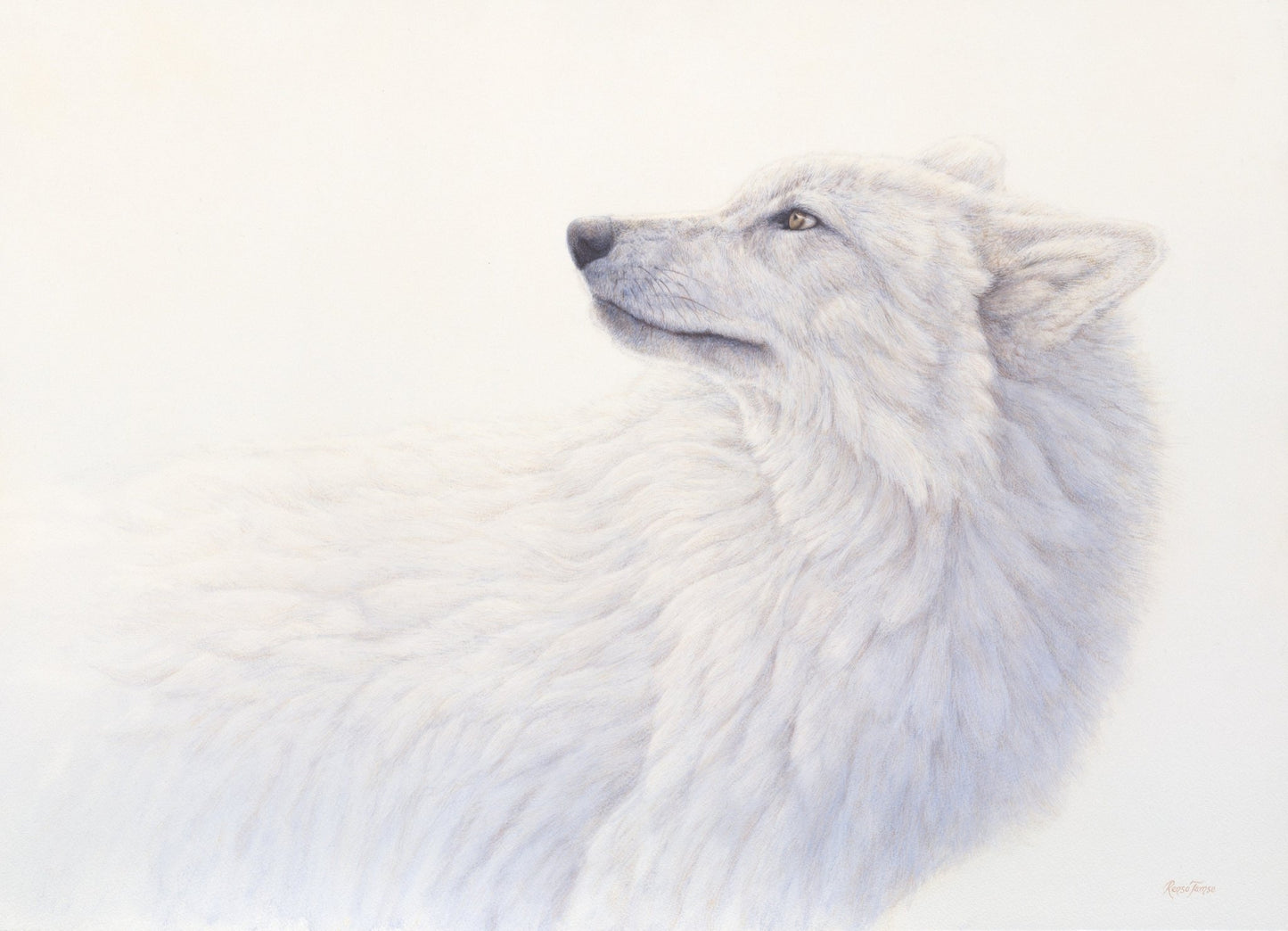Ghost Pack - Limited Edition Print - Renso Tamse Fine Art