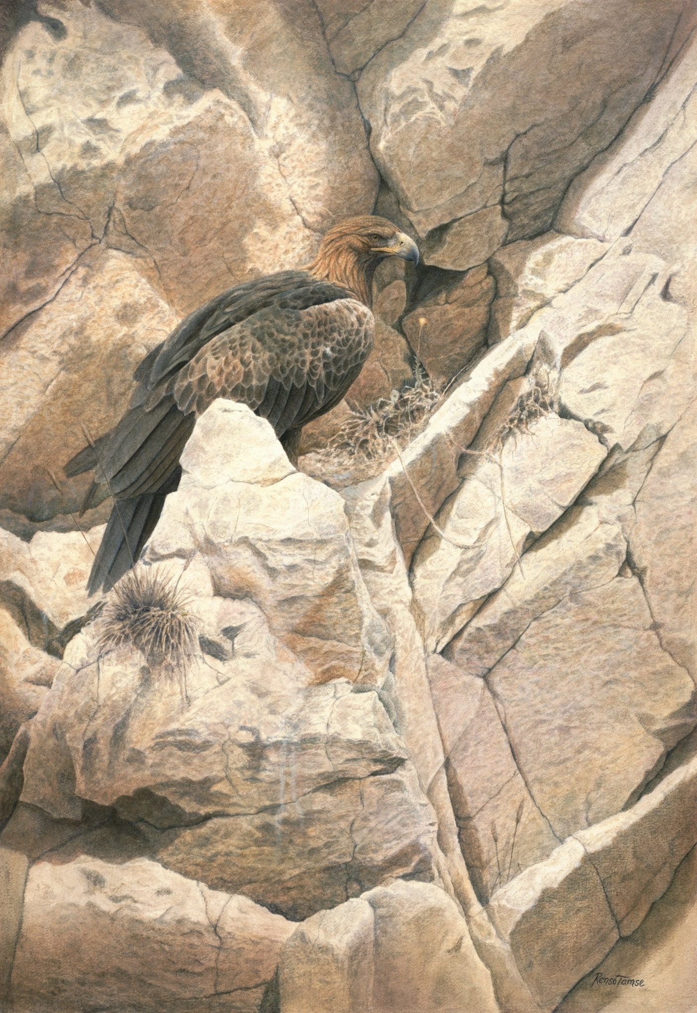 Golden Eagle Rock - Open Edition Print - Renso Tamse Fine Art