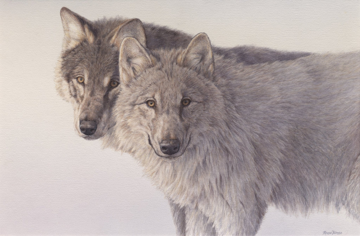 Icecold Wolves - Open Edition Print - Renso Tamse Fine Art