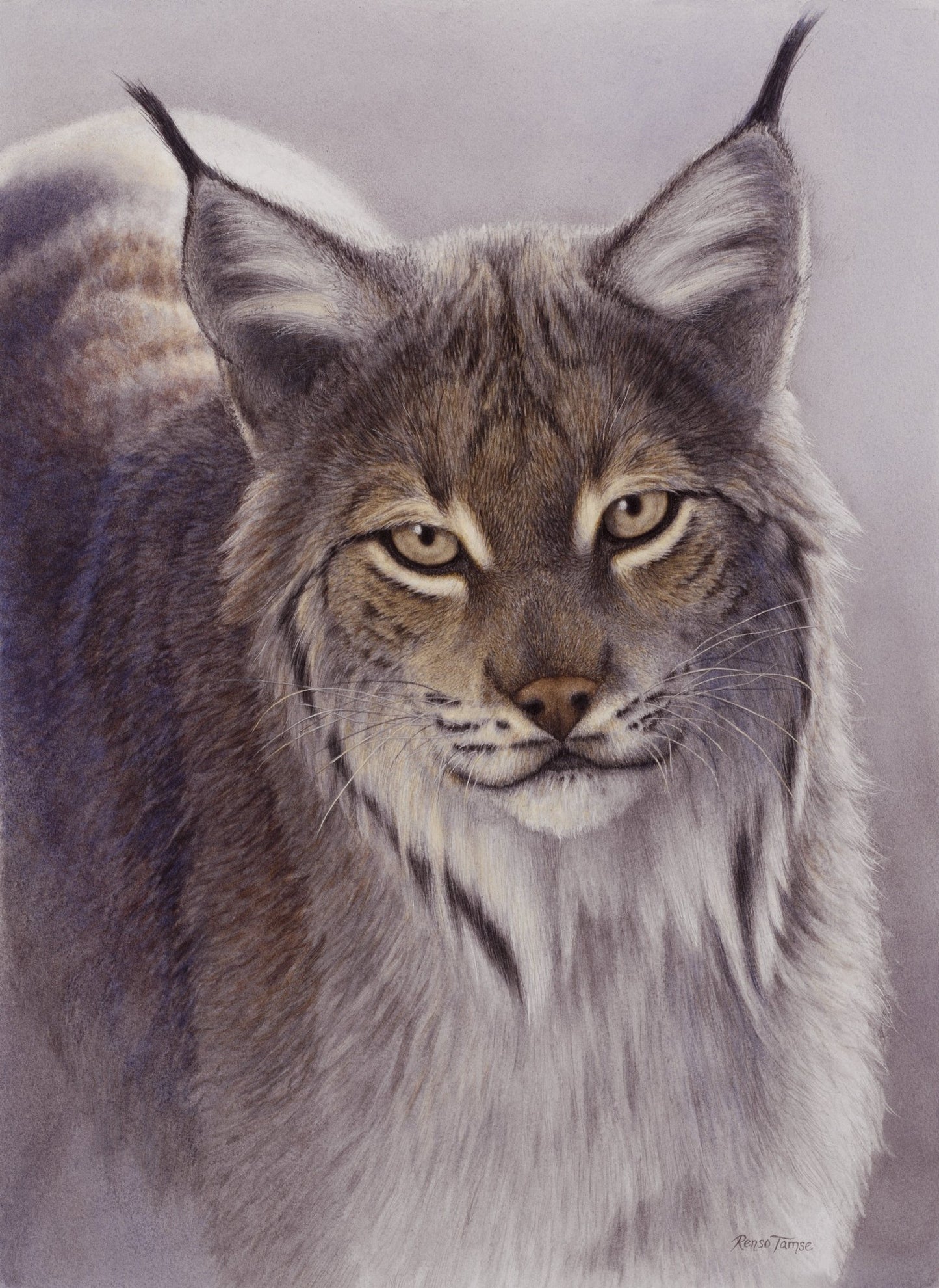 Lynx Portrait - Limited Edition Print - Renso Tamse Fine Art