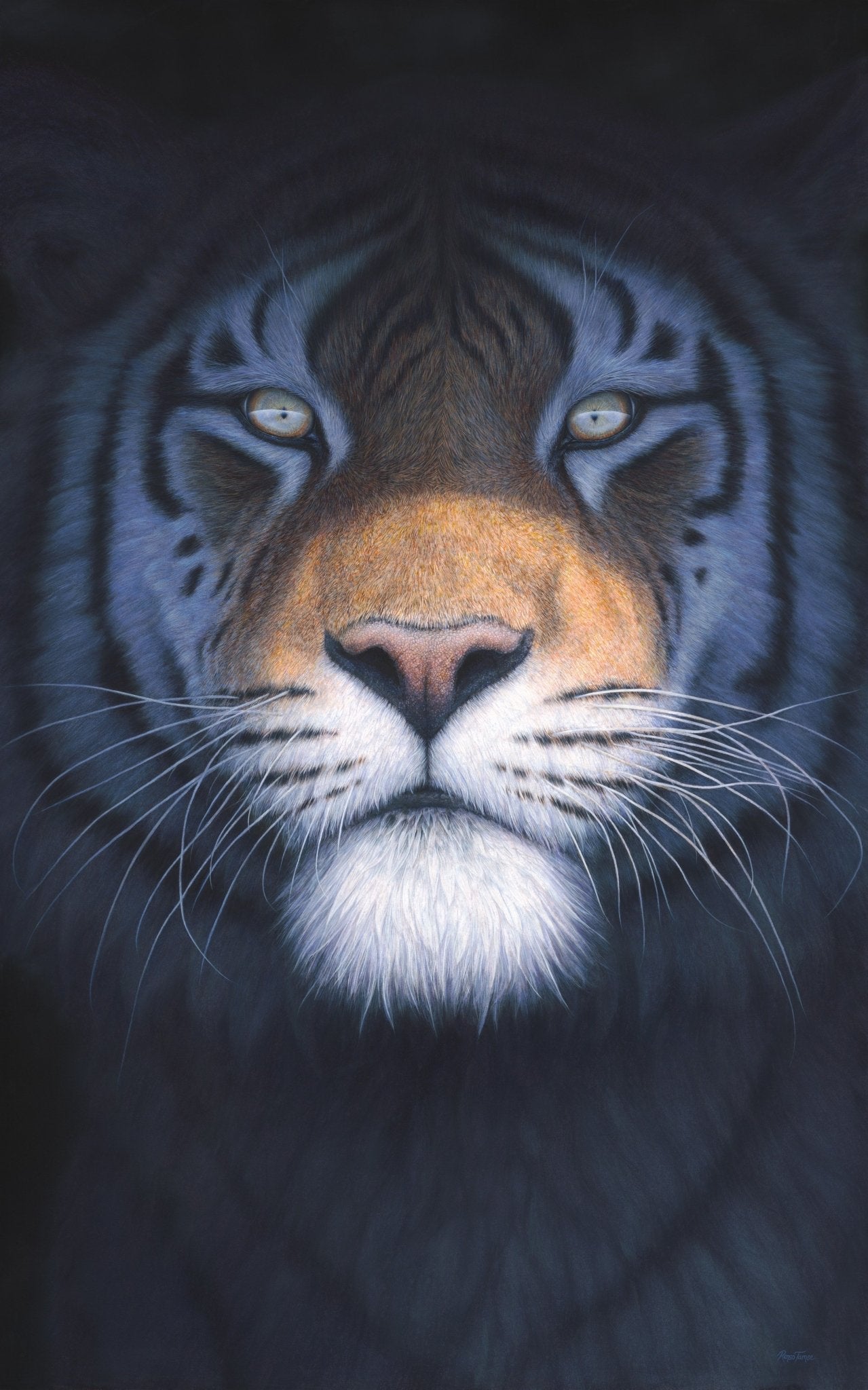 Save the Tiger - Limited Edition Print - Renso Tamse Fine Art