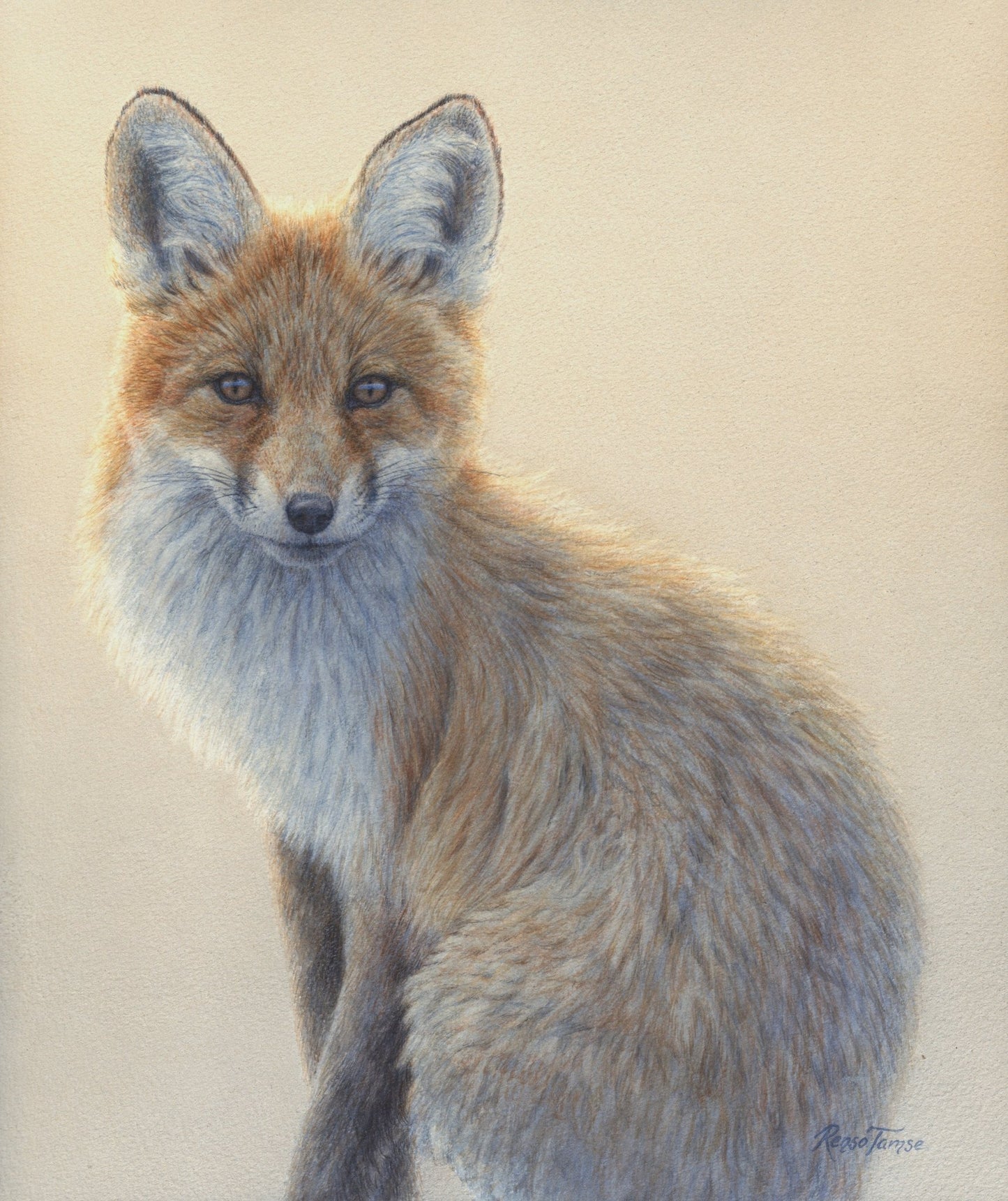 Sister Fox - Open Edition Print - Renso Tamse Fine Art