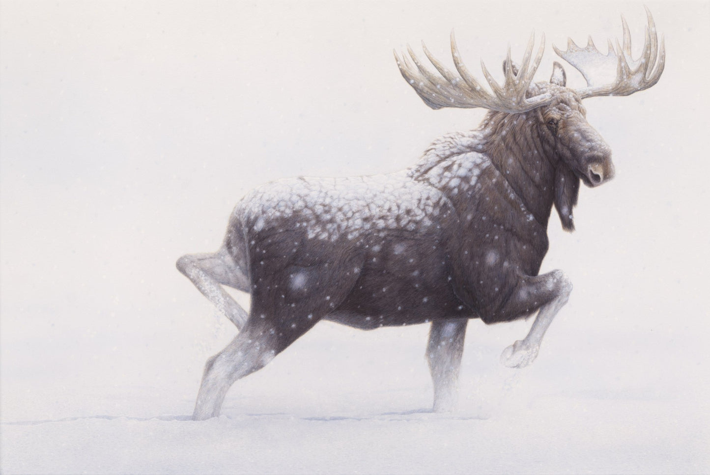 Snowfall Pace - Collector's Edition - Renso Tamse Fine Art