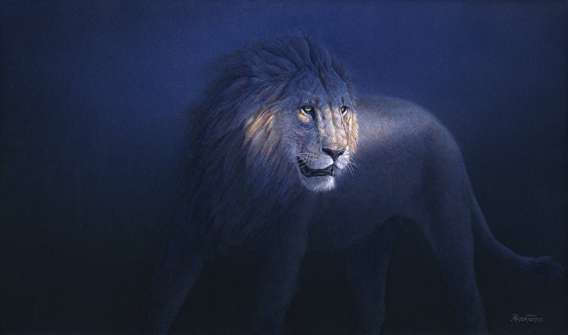 The Lion’s Turn watercolor painting of a lion turning its head, created by wildlife artist Renso Tamse