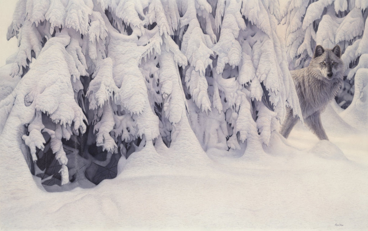 The Silence of Snow - Open Edition Print - Renso Tamse Fine Art