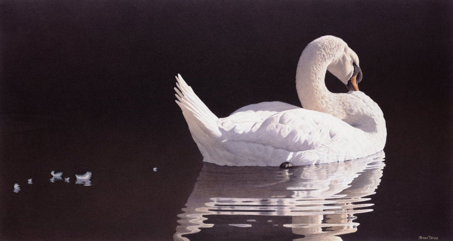 How to choose the right size and frame - Renso Tamse Fine Art