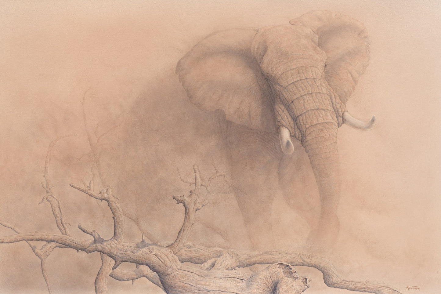 African Dust - Open Edition Print - Renso Tamse Fine Art
