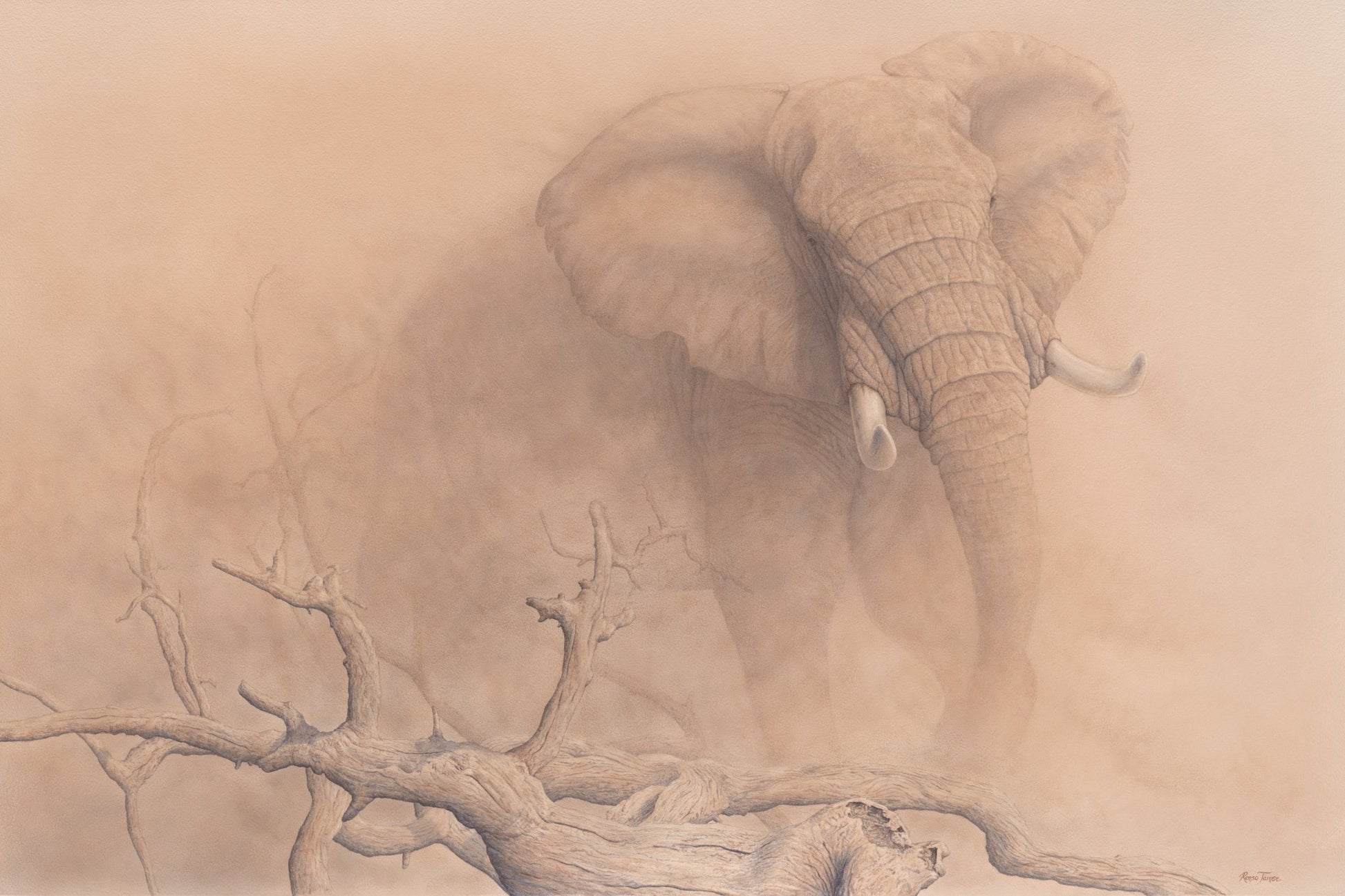 African Dust - Open Edition Print - Renso Tamse Fine Art