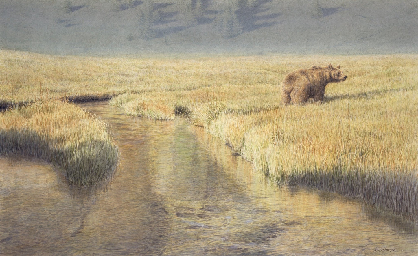 Big Brown Bear - Collector's Edition - Renso Tamse Fine Art