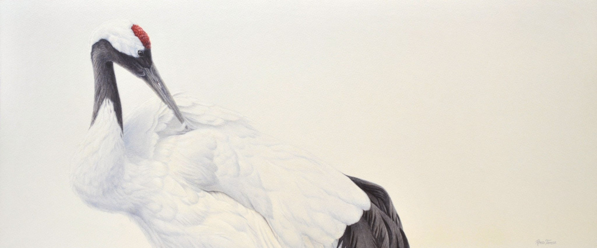 Crane II - Open Edition Print - Renso Tamse Fine Art