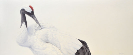 Crane II - Open Edition Print - Renso Tamse Fine Art