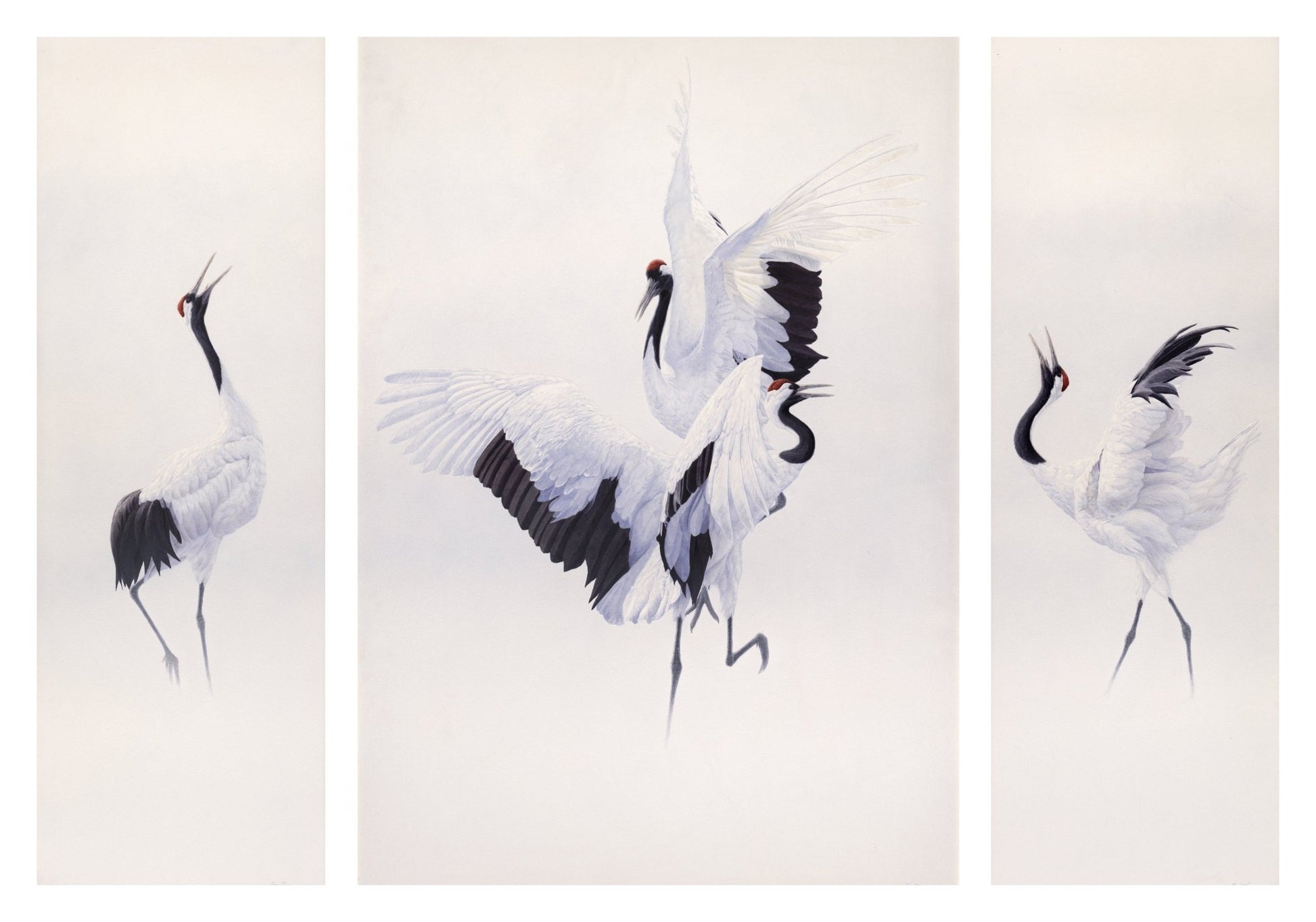 Crane Triptych - Limited Edition Print - Renso Tamse Fine Art