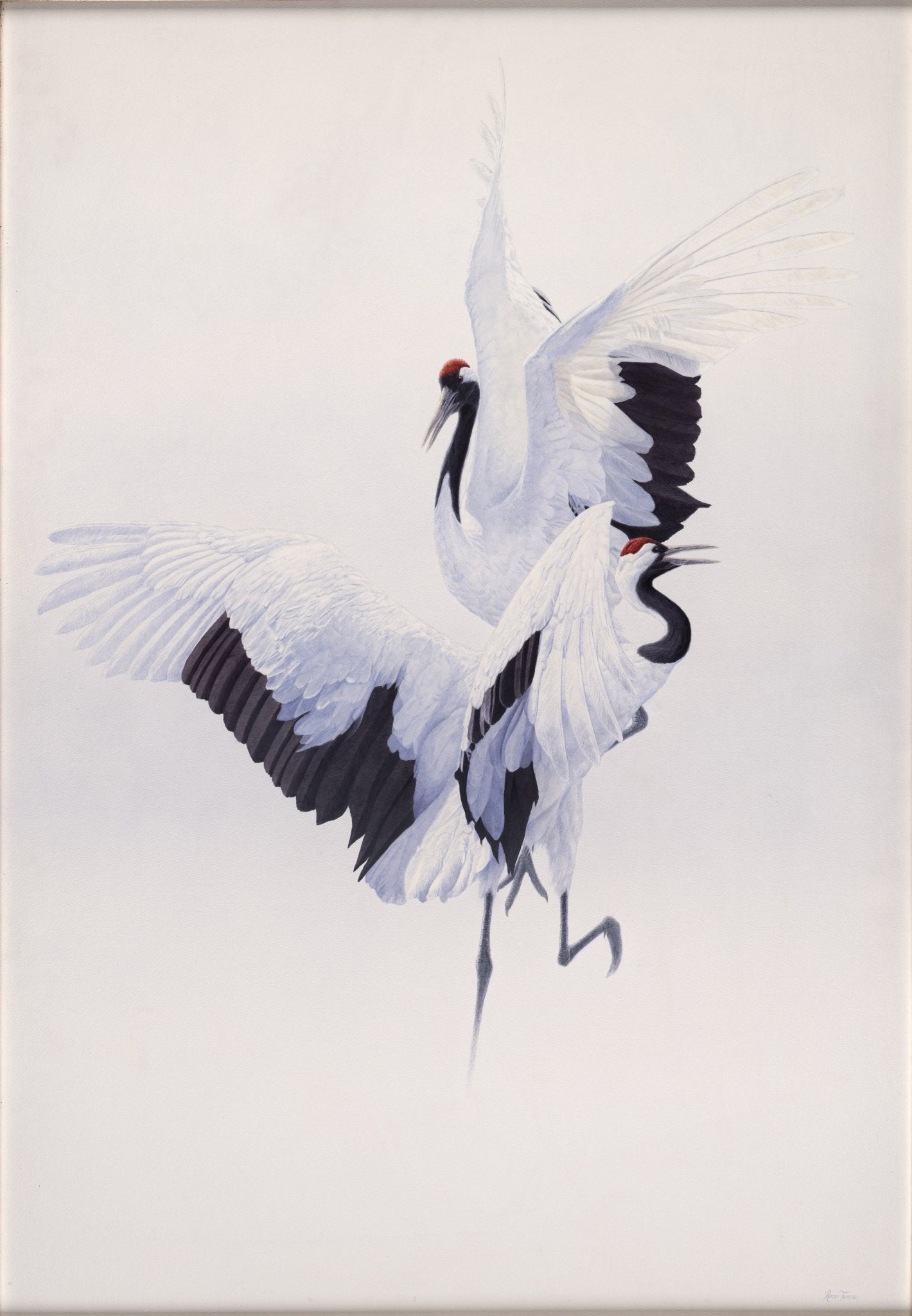 Crane Triptych - Limited Edition Print - Renso Tamse Fine Art