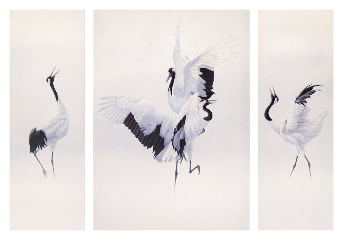 Crane Triptych, red-crowned cranes watercolor by Renso Tamse
