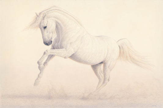 Elegance of Luminosity - Collector's Edition - Renso Tamse Fine Art