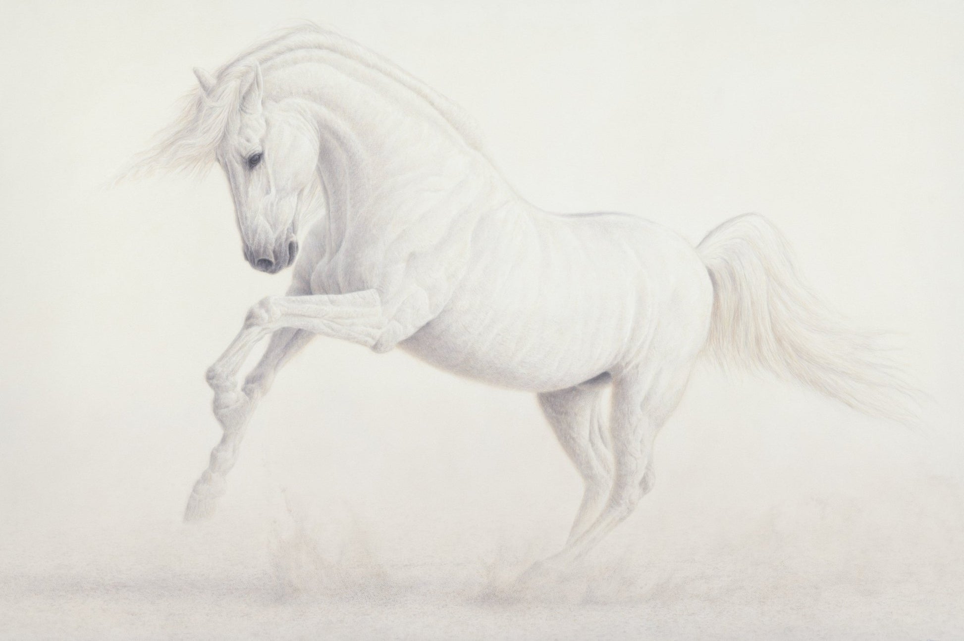Elegance of Luminosity - Collector's Edition - Renso Tamse Fine Art