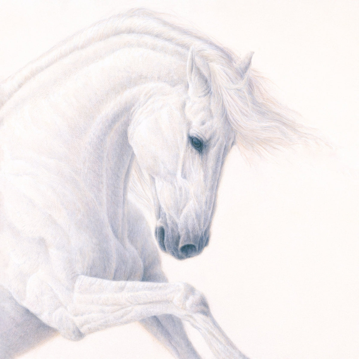 Elegance of Luminosity II - Open Edition Print - Renso Tamse Fine Art