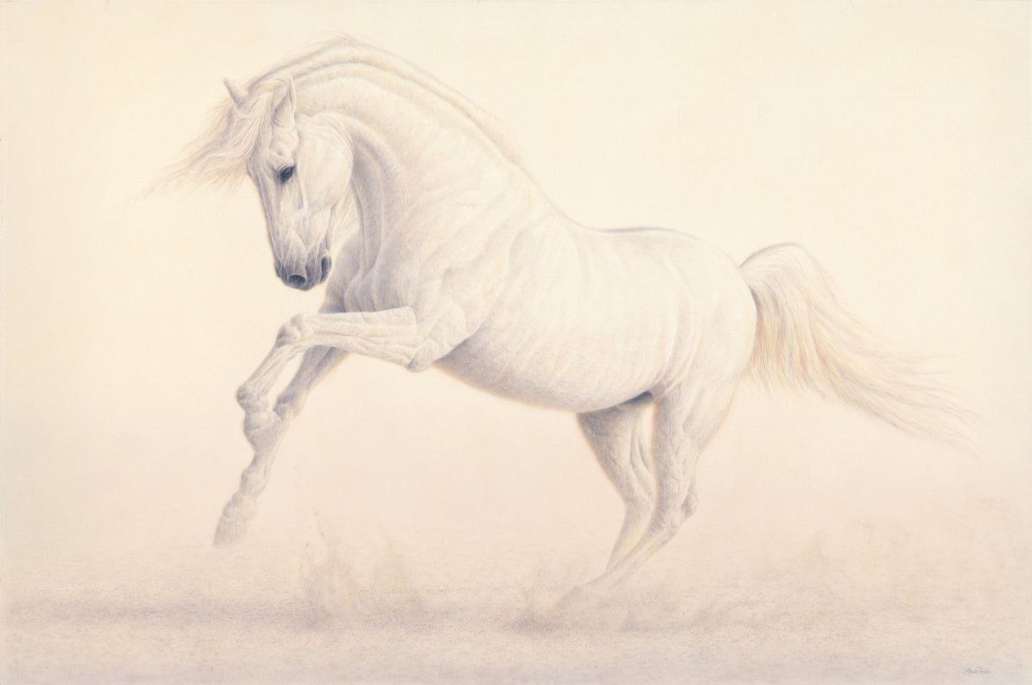 Elegance of Luminosity - Open Edition Print - Renso Tamse Fine Art