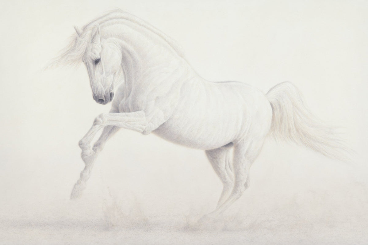 Elegance of Luminosity, white horse watercolor by Renso Tamse