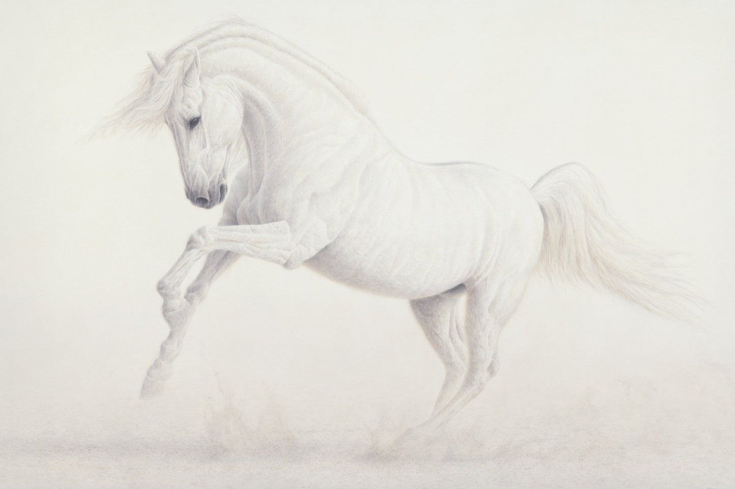 Elegance of Luminosity - Open Edition Print - Renso Tamse Fine Art