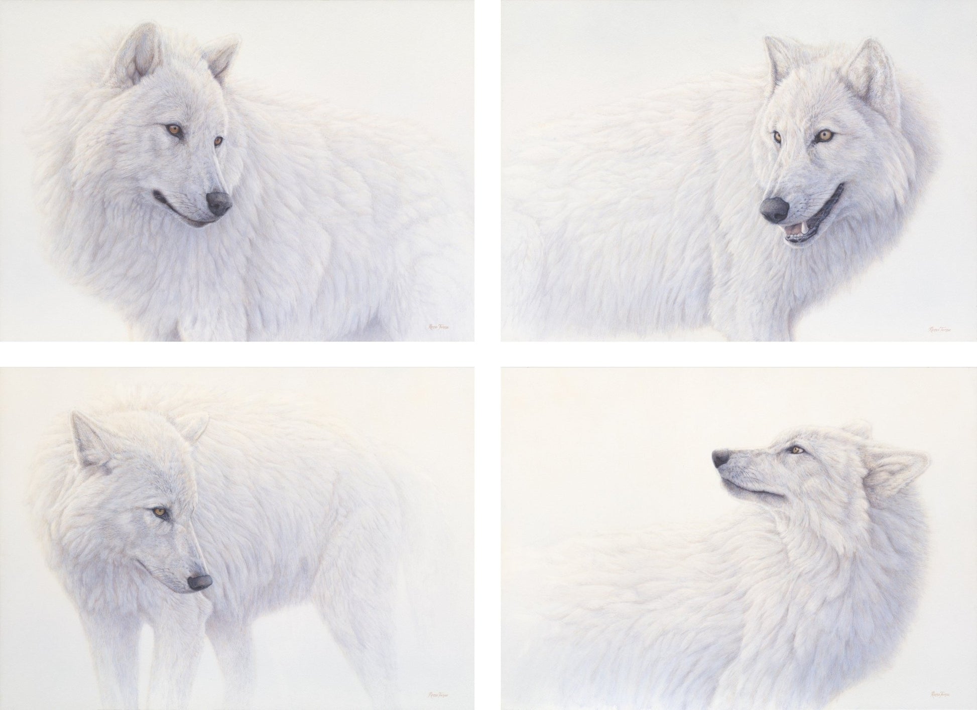 Ghost Pack - Collector's Edition - Renso Tamse Fine Art