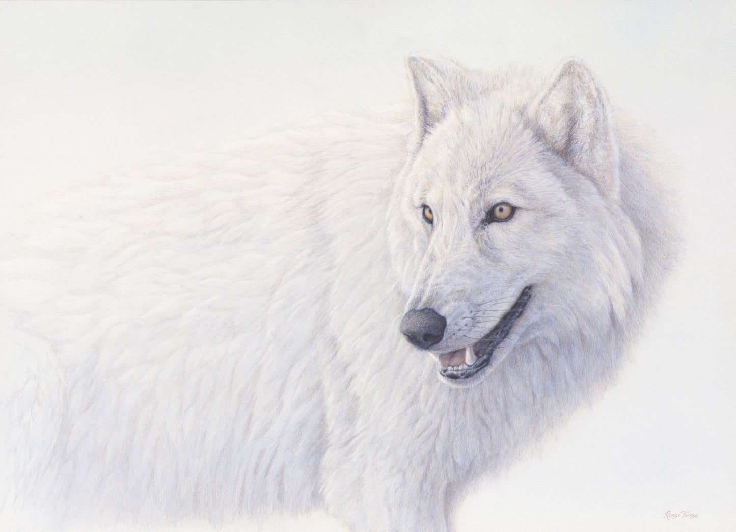 Ghost Pack - Limited Edition Print - Renso Tamse Fine Art