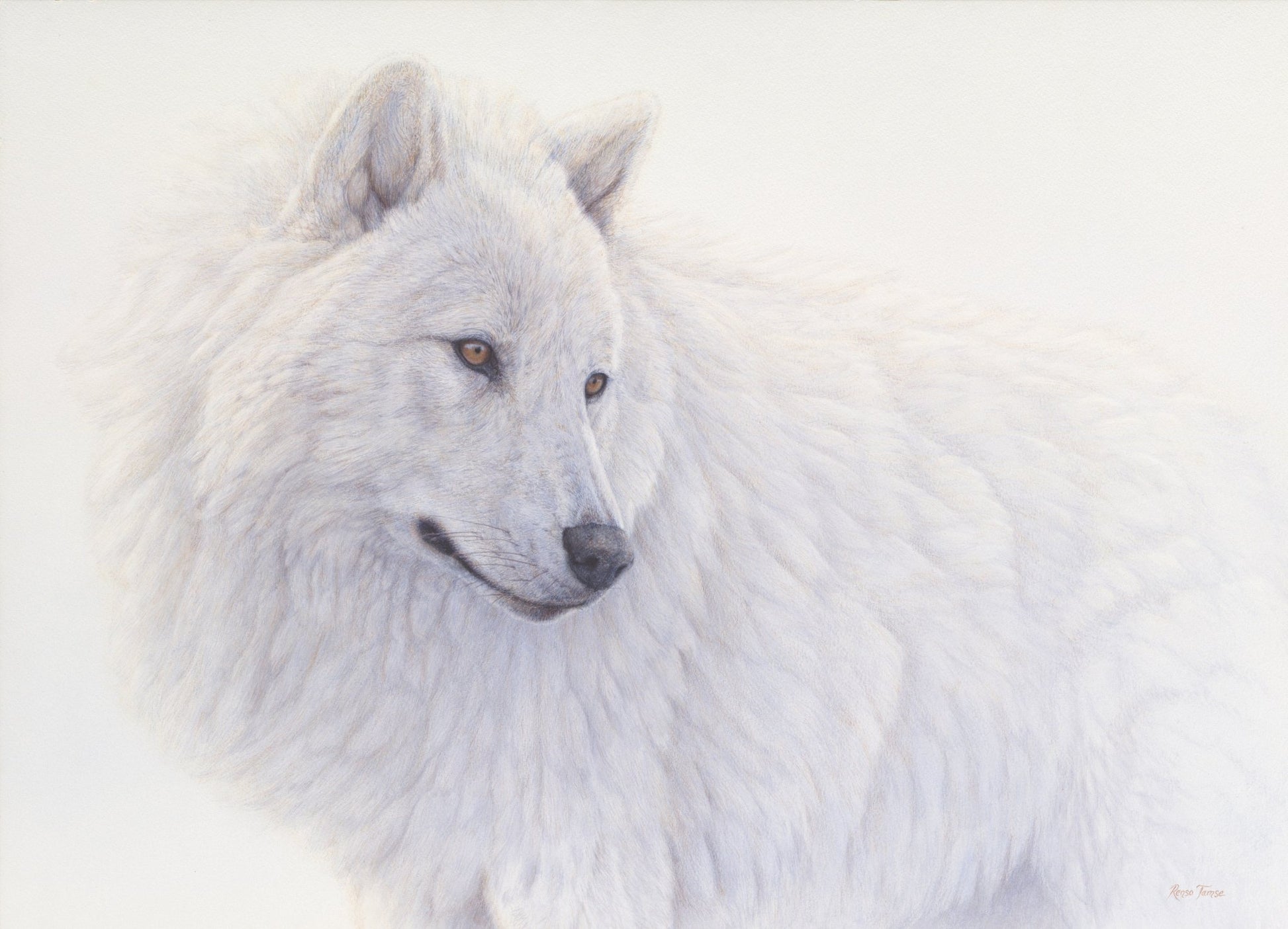 Ghost Pack - Limited Edition Print - Renso Tamse Fine Art