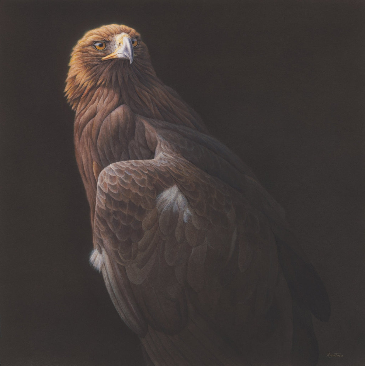 Golden Guardian of the Sky 1 - Limited Edition Print - Renso Tamse Fine Art