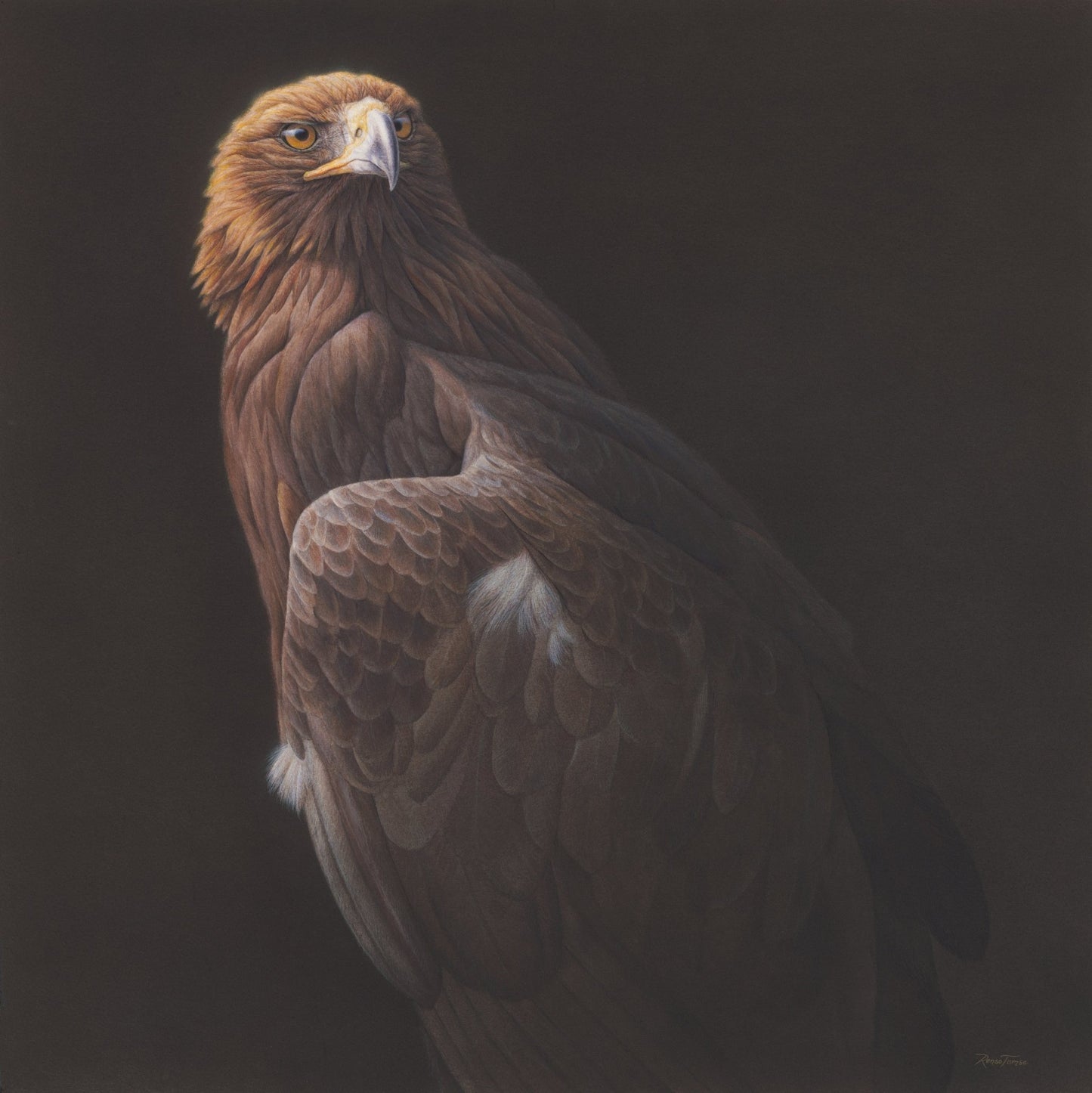 Golden Guardian of the Sky 1 - Open Edition Print - Renso Tamse Fine Art