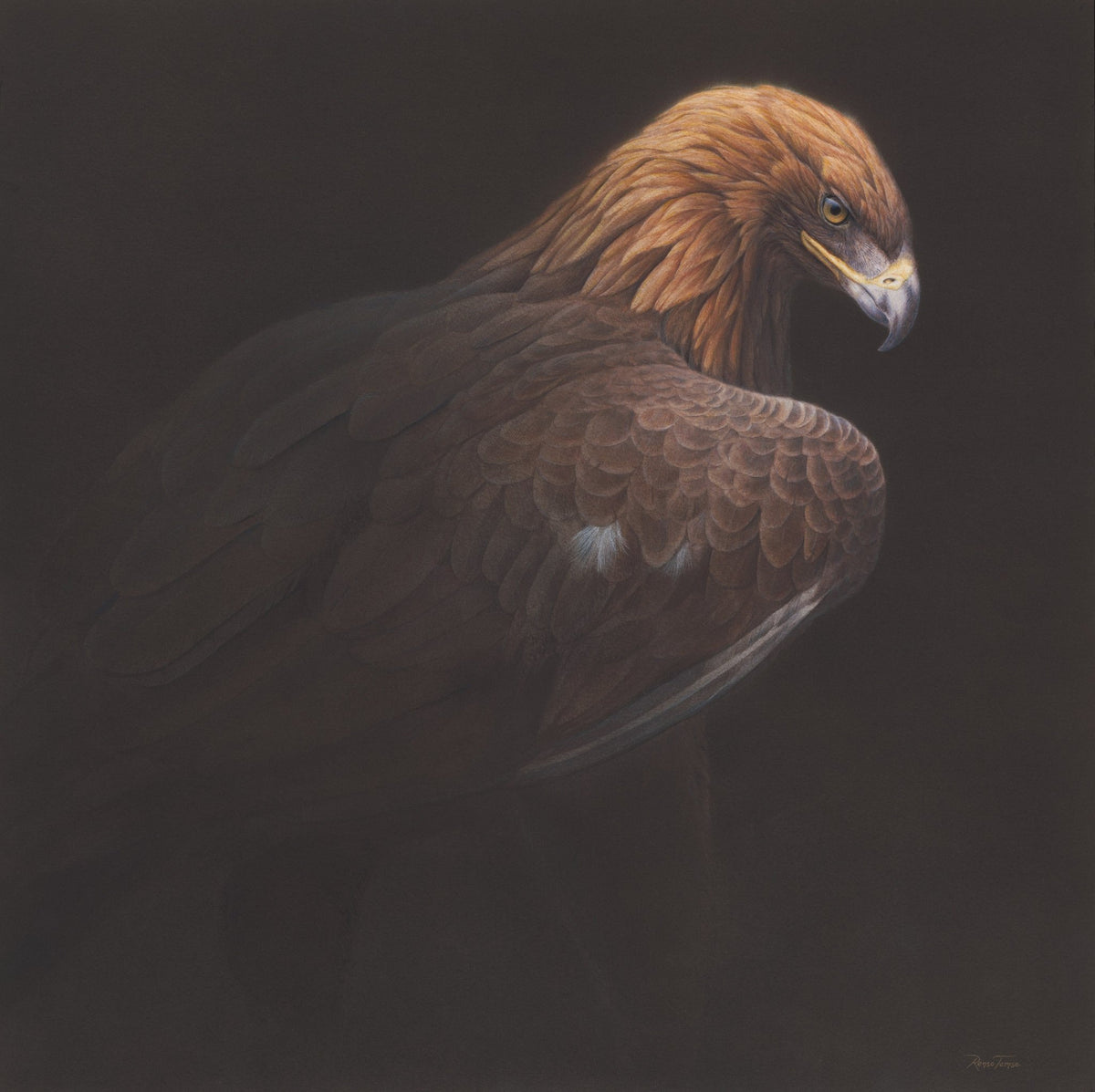 Golden Guardian of the Sky 2 - Collector's Edition - Renso Tamse Fine Art