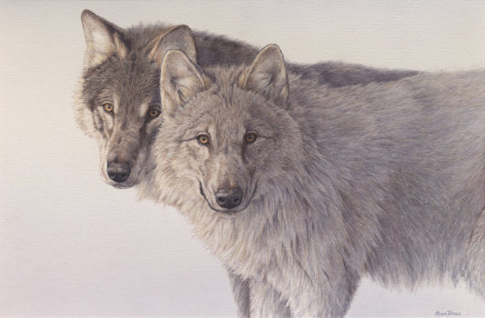 Icecold Wolves - Open Edition Print - Renso Tamse Fine Art