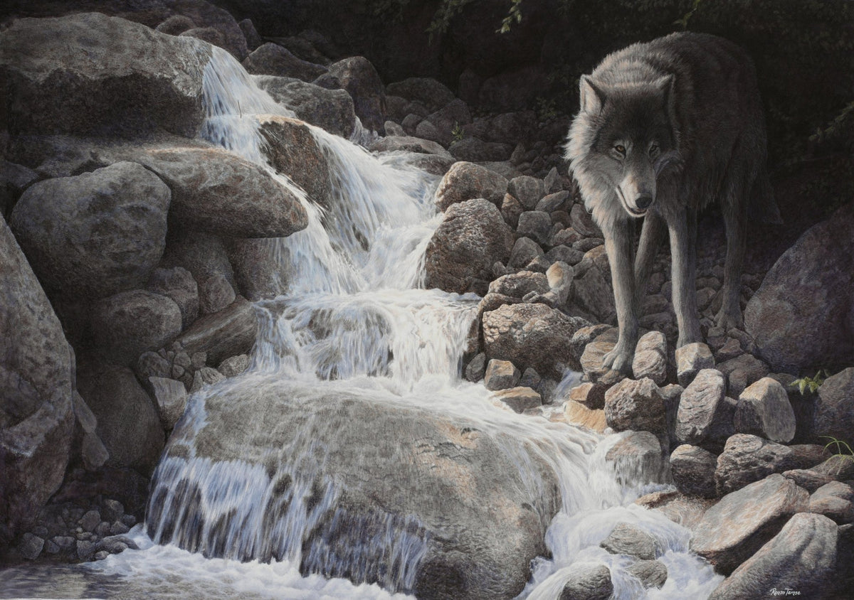 Lost Track - Collector's Edition - Renso Tamse Fine Art