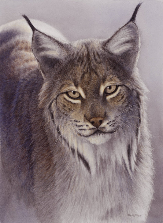 Lynx Portrait - Collector's Edition - Renso Tamse Fine Art