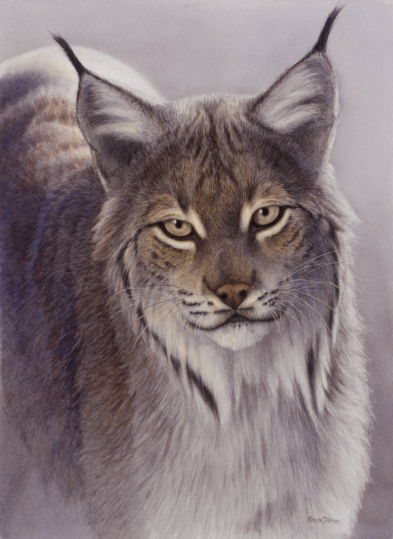 Lynx Portrait - Limited Edition Print - Renso Tamse Fine Art