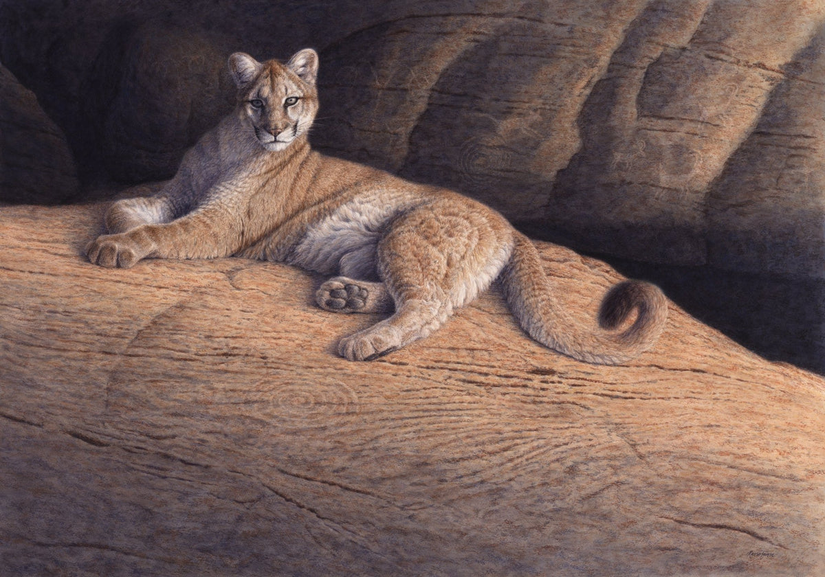 Puma Past and Present - Open Edition Print - Renso Tamse Fine Art