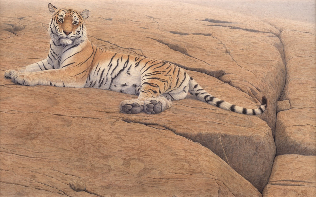 Save the Tiger - Limited Edition Print - Renso Tamse Fine Art