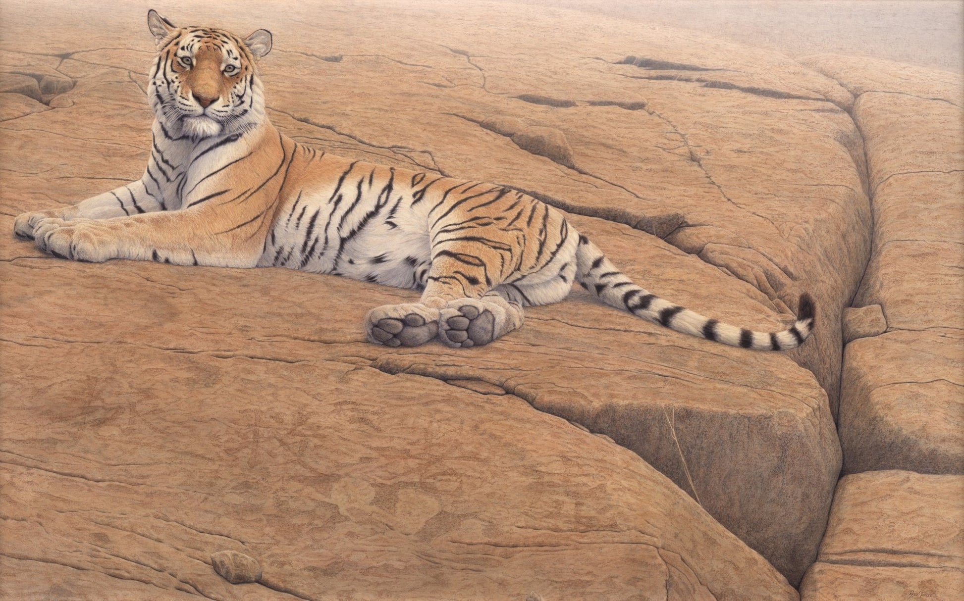 Save the Tiger - Limited Edition Print - Renso Tamse Fine Art