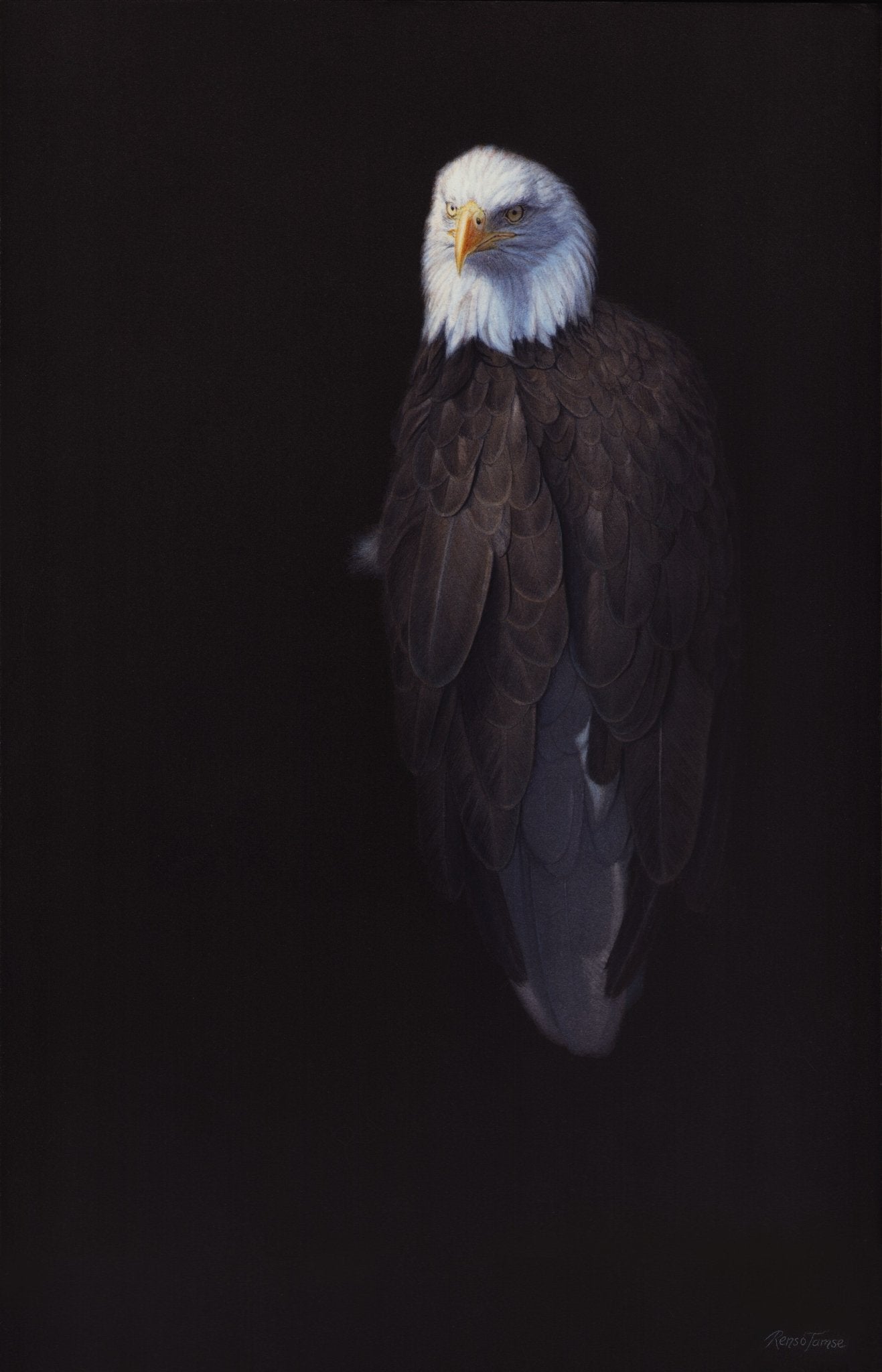 Sea Eagle 1 - Limited Edition Print - Renso Tamse Fine Art