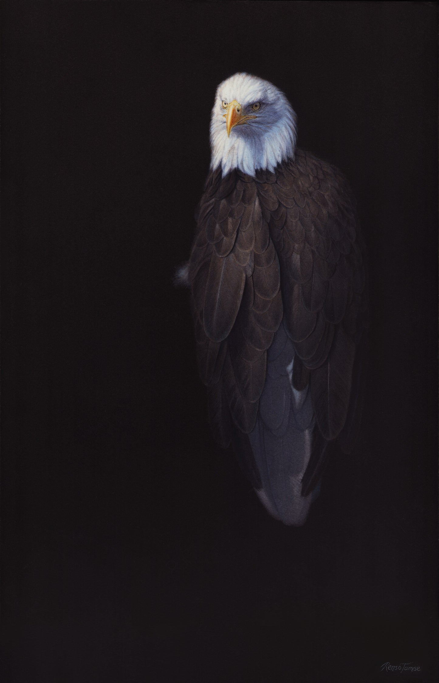 Sea Eagle 1 by Renso Tamse