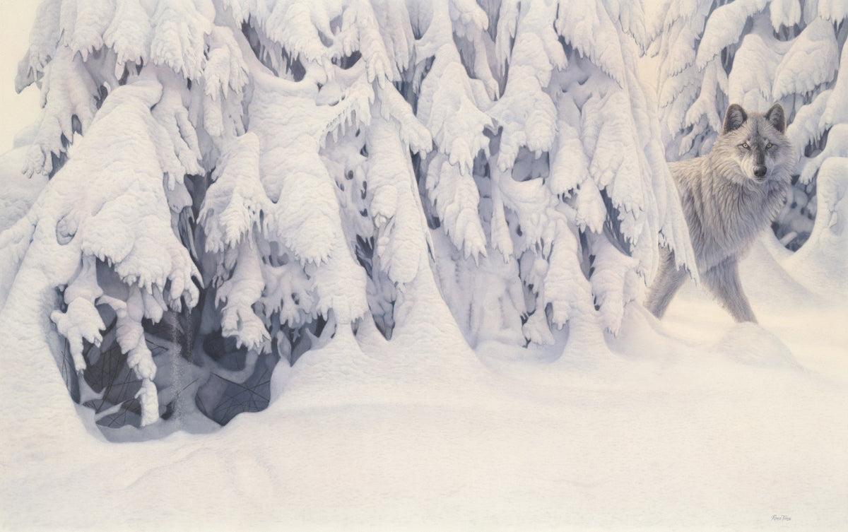 The Silence of Snow - Open Edition Print - Renso Tamse Fine Art
