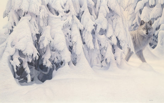 The Silence of Snow - Open Edition Print - Renso Tamse Fine Art