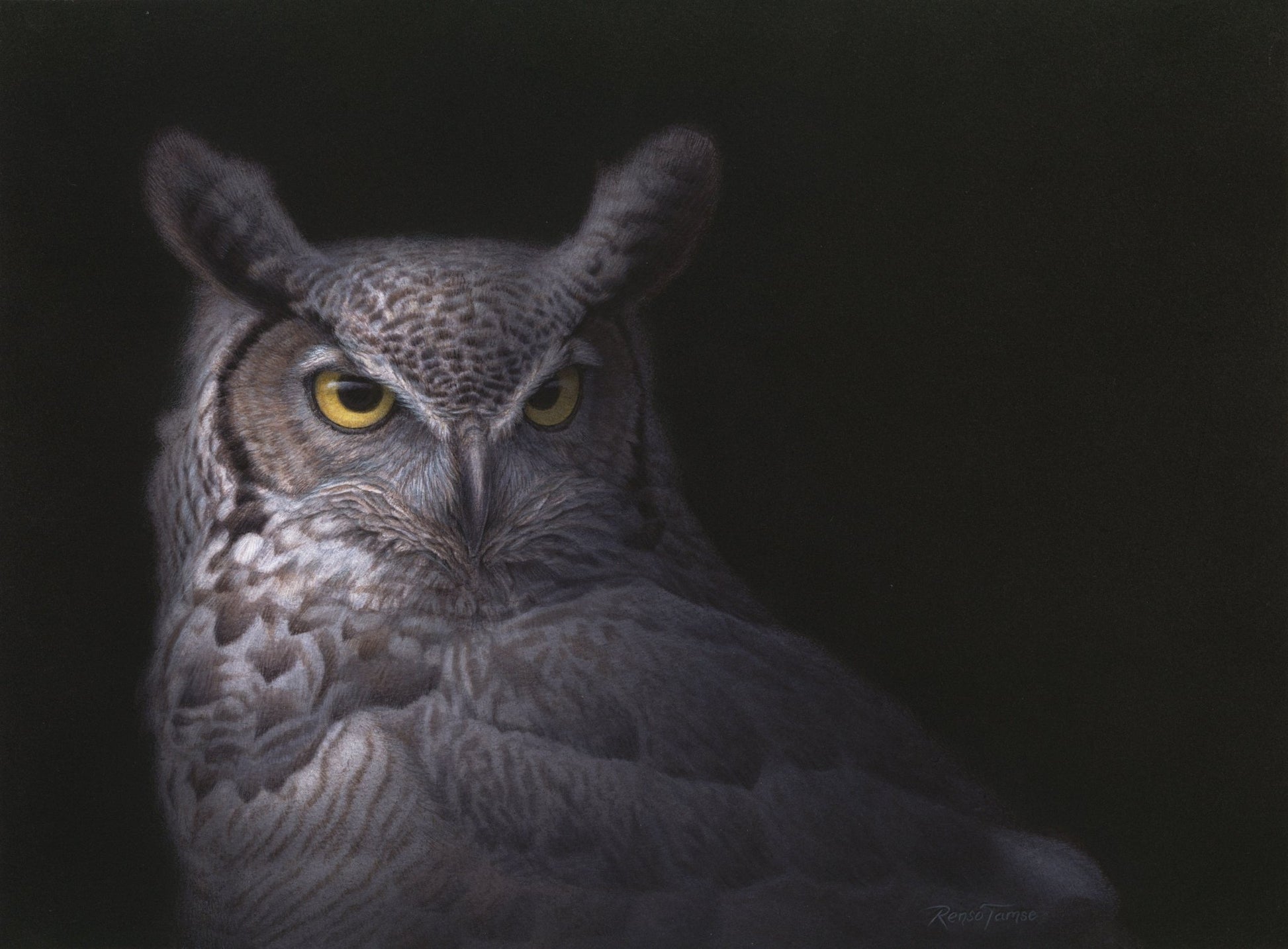 Uhu - Open Edition Print - Renso Tamse Fine Art