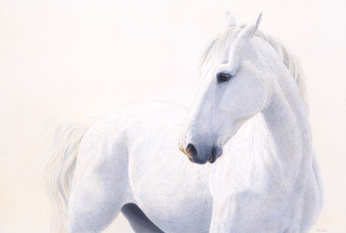 White and Wild - Limited Edition Print - Renso Tamse Fine Art