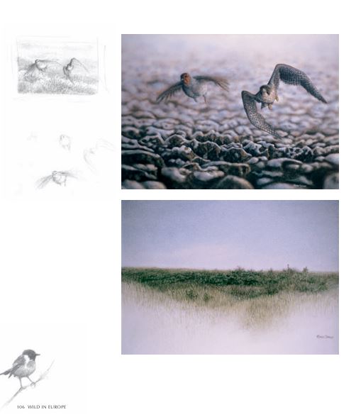 Wild of Europe — Digital Art Book by Renso Tamse (Downloadable Edition) - Renso Tamse Fine Art