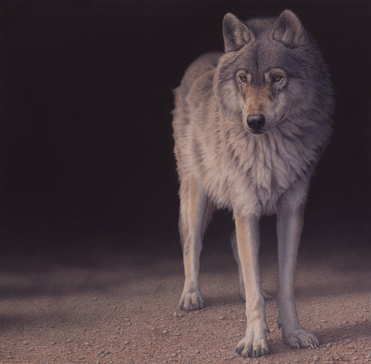 Wolf from Darkness - Collector's Edition - Renso Tamse Fine Art