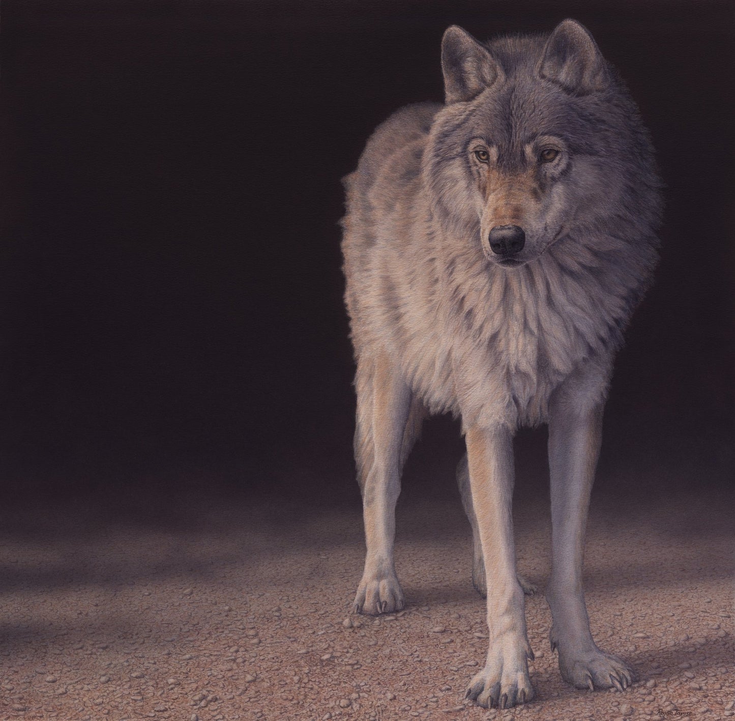 Wolf from Darkness - Open Edition Print - Renso Tamse Fine Art